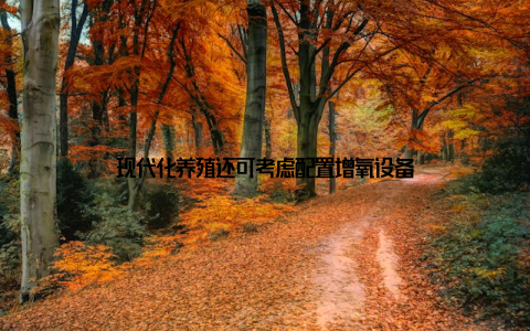 现代化养殖还可考虑配置增氧设备