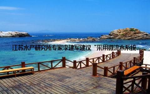 江苏水产研究所专家李建军建议“采用微流水系统、定期检测PH值, 配合益生菌调水, 能将死亡率控制在10%以内