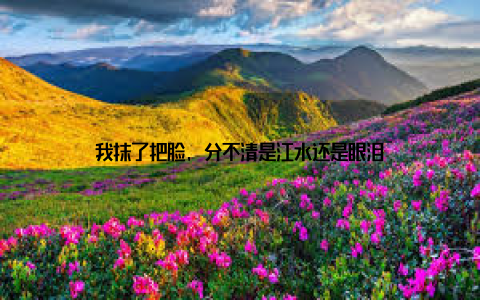 我抹了把脸, 分不清是江水还是眼泪