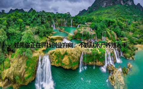 如果你正在寻找创业方向, 不妨从水产养殖入手, 选一种高利润鱼种, 稳扎稳打, 或许下一个“养鱼致富”的案例就是你!
