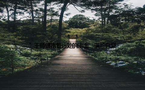 ”王师傅指着远处的海面, 满脸自豪