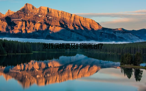 发现病螺要及时隔离治疗