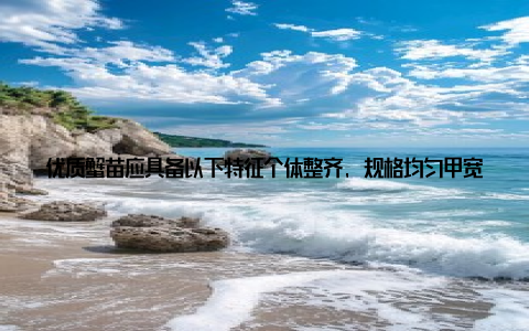 优质蟹苗应具备以下特征个体整齐, 规格均匀甲宽1厘米以上; 活力强, 反应敏捷; 体色正常, 无黑鳃、红体等病变; 附肢完整, 无损伤