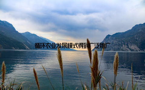 循环农业发展模式得到广泛推广