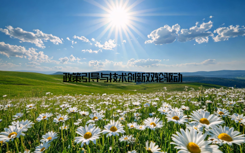 政策引导与技术创新双轮驱动