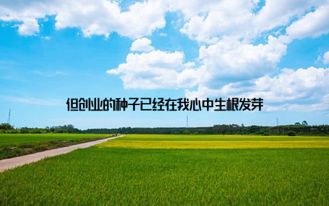 但创业的种子已经在我心中生根发芽