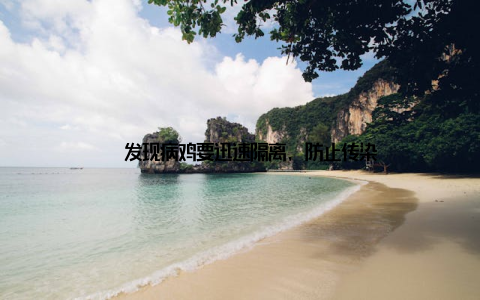 – 发现病鸡要迅速隔离, 防止传染