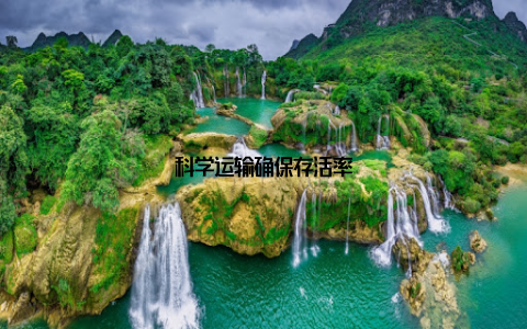 科学运输确保存活率