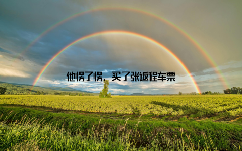 他愣了愣, 买了张返程车票
