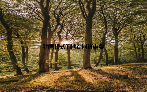 销售模式的创新同样重要