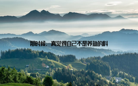 那时候, 真觉得自己不是养鱼的料
