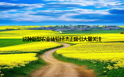 这种新型农业体验经济正吸引大量关注