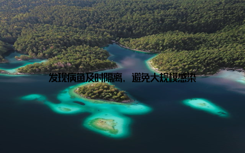 发现病鱼及时隔离, 避免大规模感染