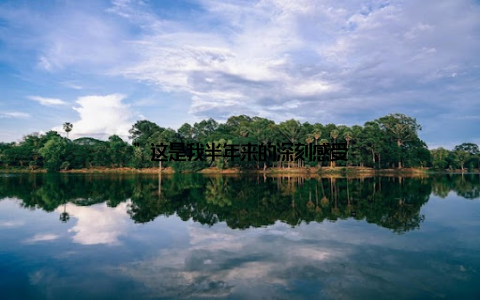 ”这是我半年来的深刻感受