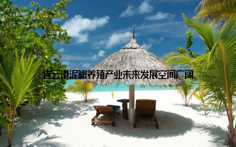 连云港泥鳅养殖产业未来发展空间广阔