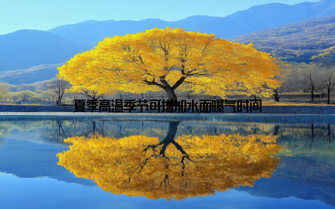 夏季高温季节可增加水面曝气时间