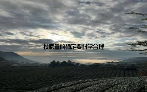 投喂量的确定要科学合理