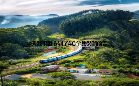 当天我们就收到了40个集装箱的定金