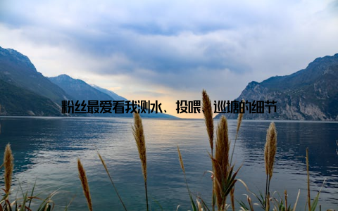 粉丝最爱看我测水、投喂、巡塘的细节