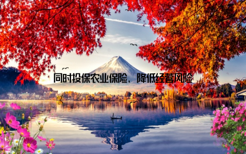 同时投保农业保险, 降低经营风险