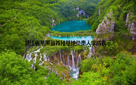 浙江省某黑鱼养殖基地负责人李成表示