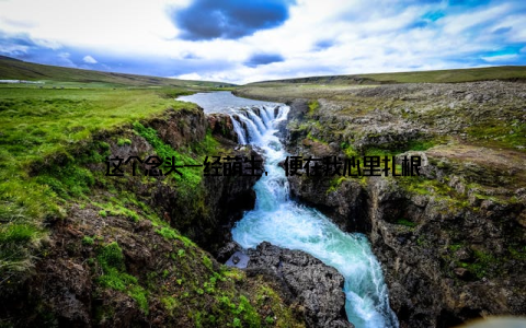 这个念头一经萌生, 便在我心里扎根