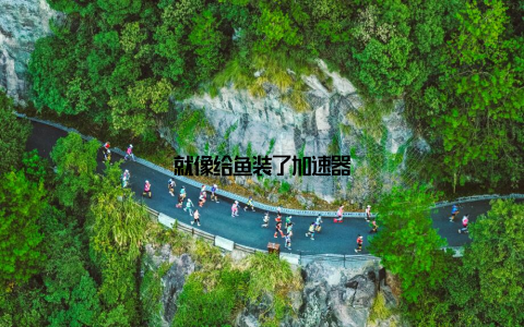 就像给鱼装了加速器