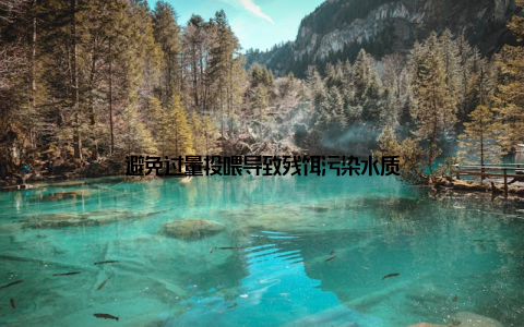 避免过量投喂导致残饵污染水质