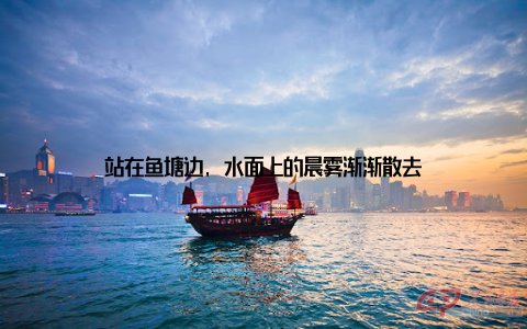 站在鱼塘边, 水面上的晨雾渐渐散去