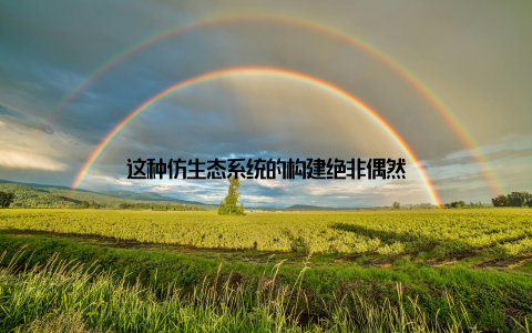 这种仿生态系统的构建绝非偶然