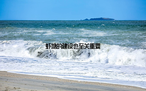 虾塘的建设也至关重要