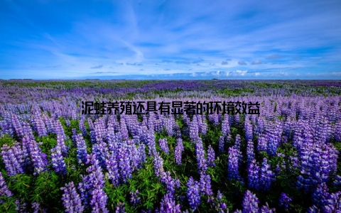泥蛙养殖还具有显著的环境效益