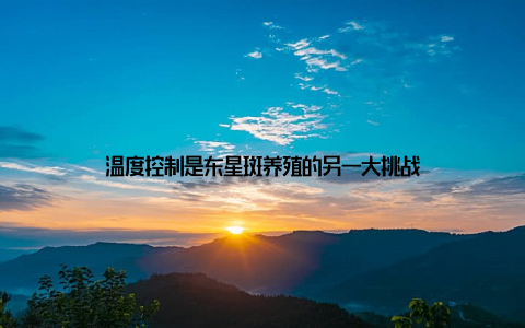 温度控制是东星斑养殖的另一大挑战