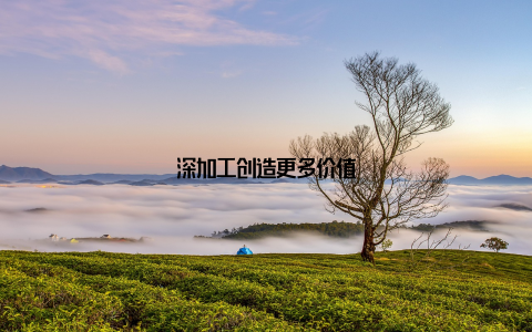 深加工创造更多价值
