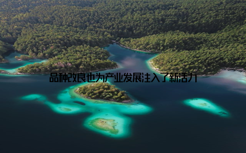 品种改良也为产业发展注入了新活力