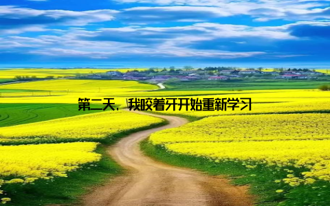 第二天, 我咬着牙开始重新学习