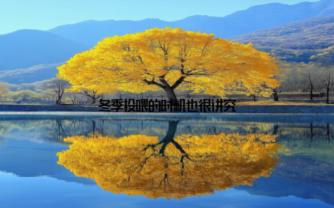 冬季投喂的时机也很讲究