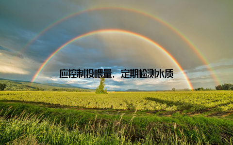 应控制投喂量, 定期检测水质