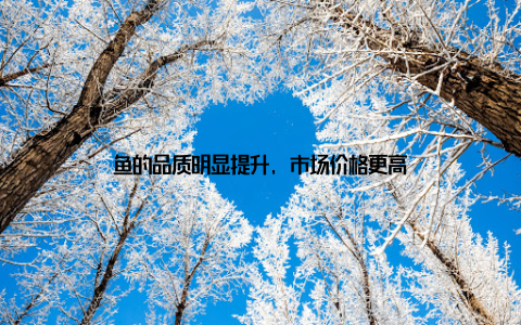 鱼的品质明显提升, 市场价格更高
