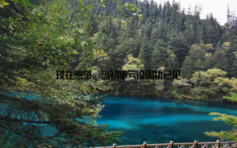 现在想想, 当初幸亏没固执己见