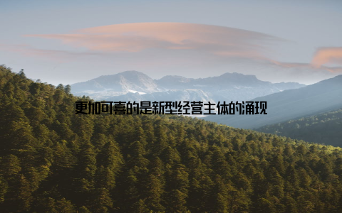 更加可喜的是新型经营主体的涌现