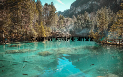 这种辐射效应在服务业同样显著