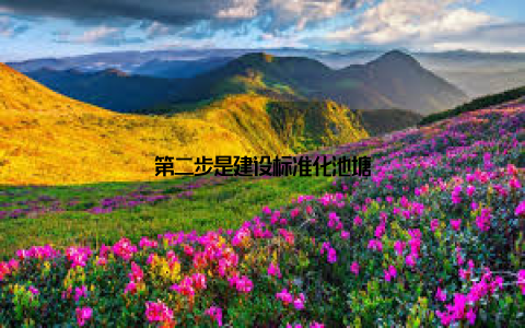 第二步是建设标准化池塘
