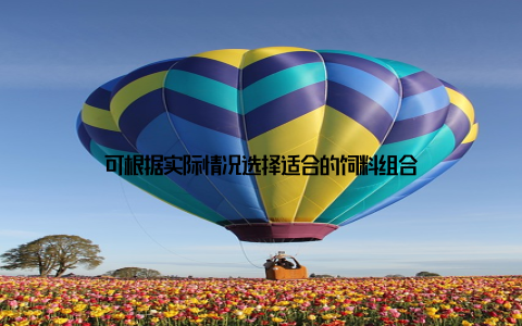 可根据实际情况选择适合的饲料组合