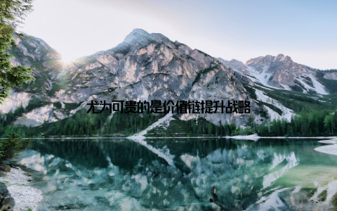 尤为可贵的是价值链提升战略