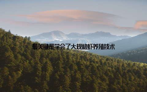最关键是学会了大规格虾养殖技术