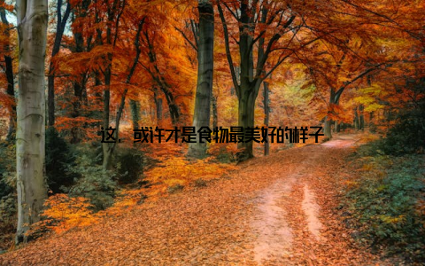 这, 或许才是食物最美好的样子