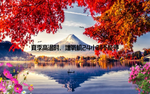 夏季高温时, 增氧机24小时不能停
