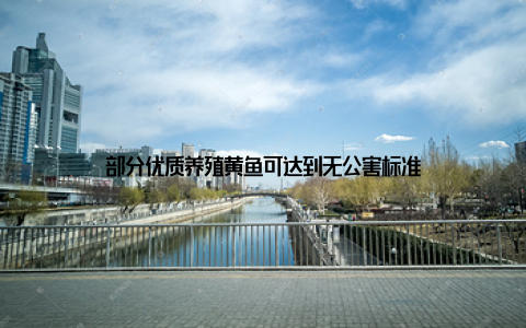部分优质养殖黄鱼可达到无公害标准