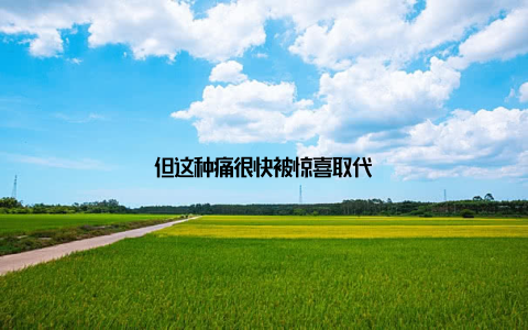 但这种痛很快被惊喜取代